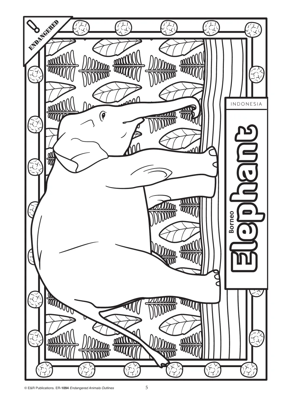 Animal coloring outline 5: Borneo elephant standing with its trunk extended, labeled Indonesia