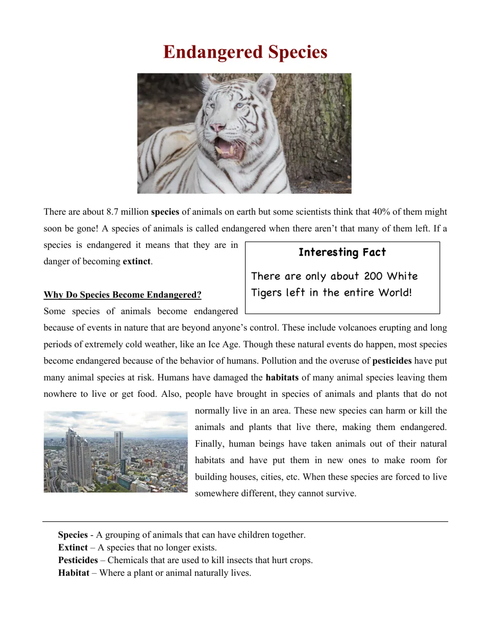 Endangered species reading passage: students read about human and natural causes, with a white tiger fact and key terms