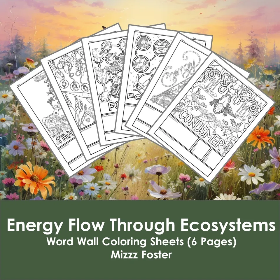 Energy Flow Through Ecosystems Word Wall Coloring Sheets (6 pgs.) – cover