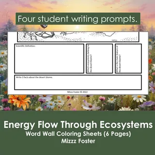 Energy Flow Through Ecosystems Word Wall Coloring Sheets (6 pgs.) – sample page 4