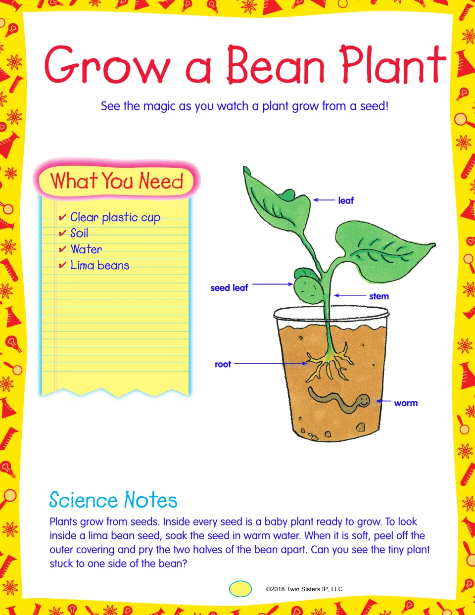 Grow a Bean Plant: supplies list and a bean seedling diagram labeling leaf, seed leaf, stem and root, with science notes