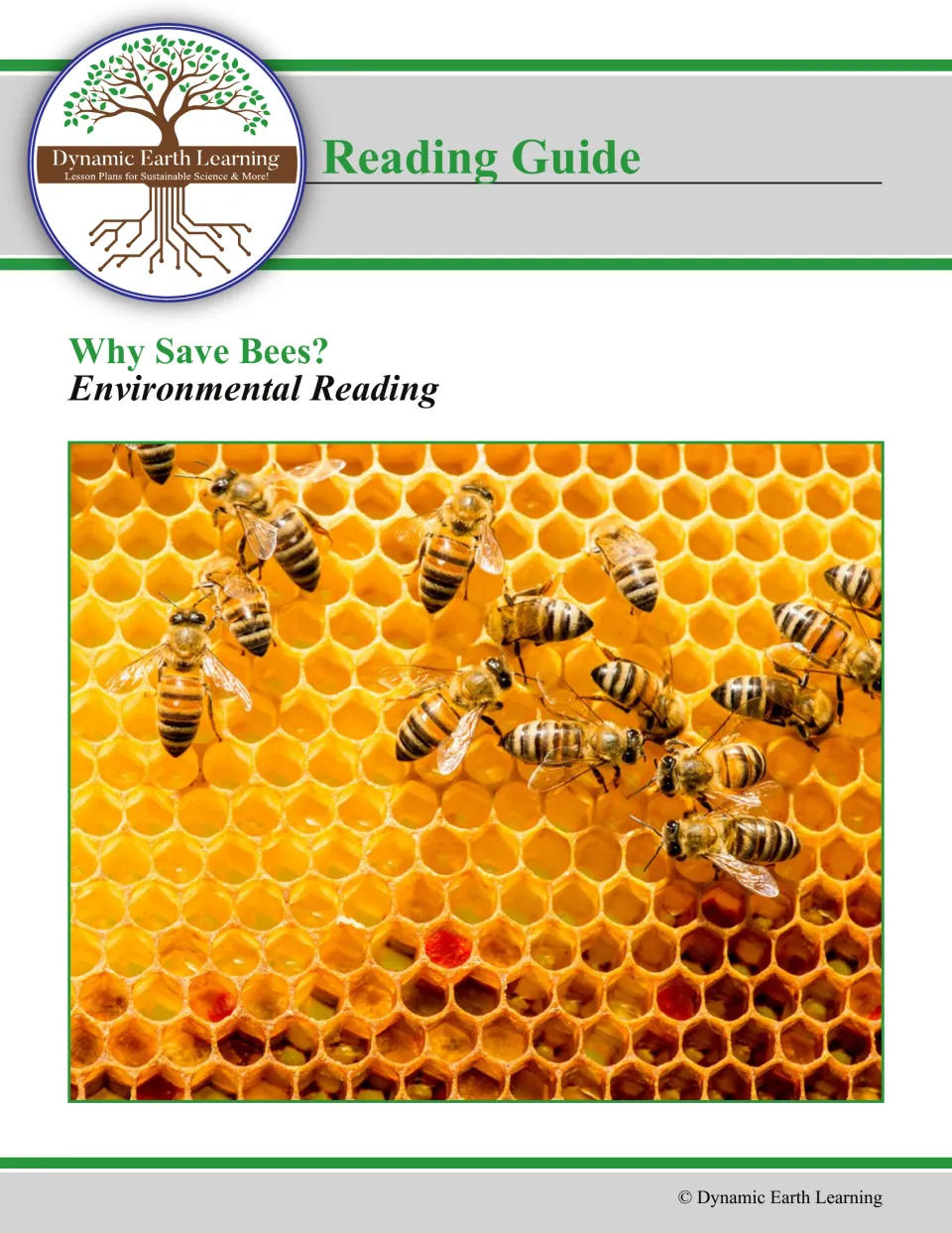 Why Save Bees? environmental reading guide cover, with a photo of honeybees on golden honeycomb