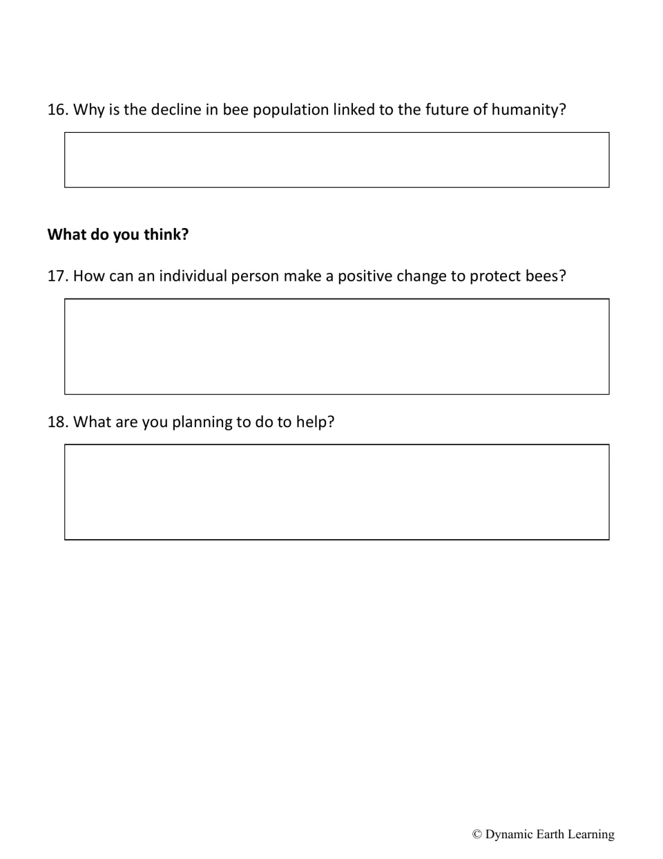 Questions 16–18: bee decline and the future of humanity, then 'What do you think?' on how one person can help bees