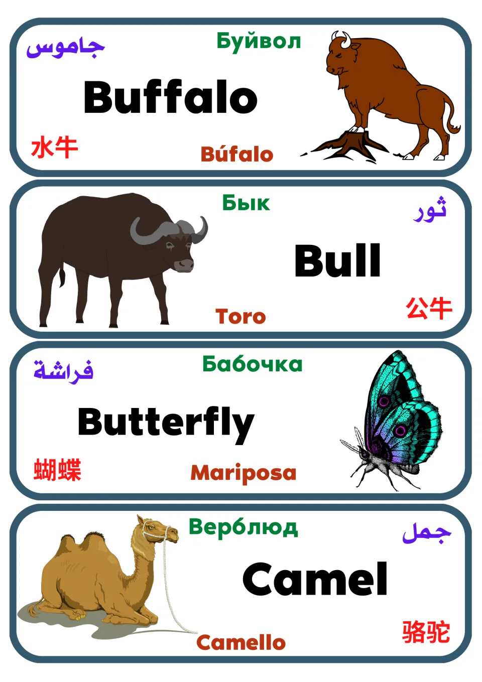 Multilingual animal flashcards 9–12: buffalo, bull, butterfly, and camel, with pictures and five-language labels.