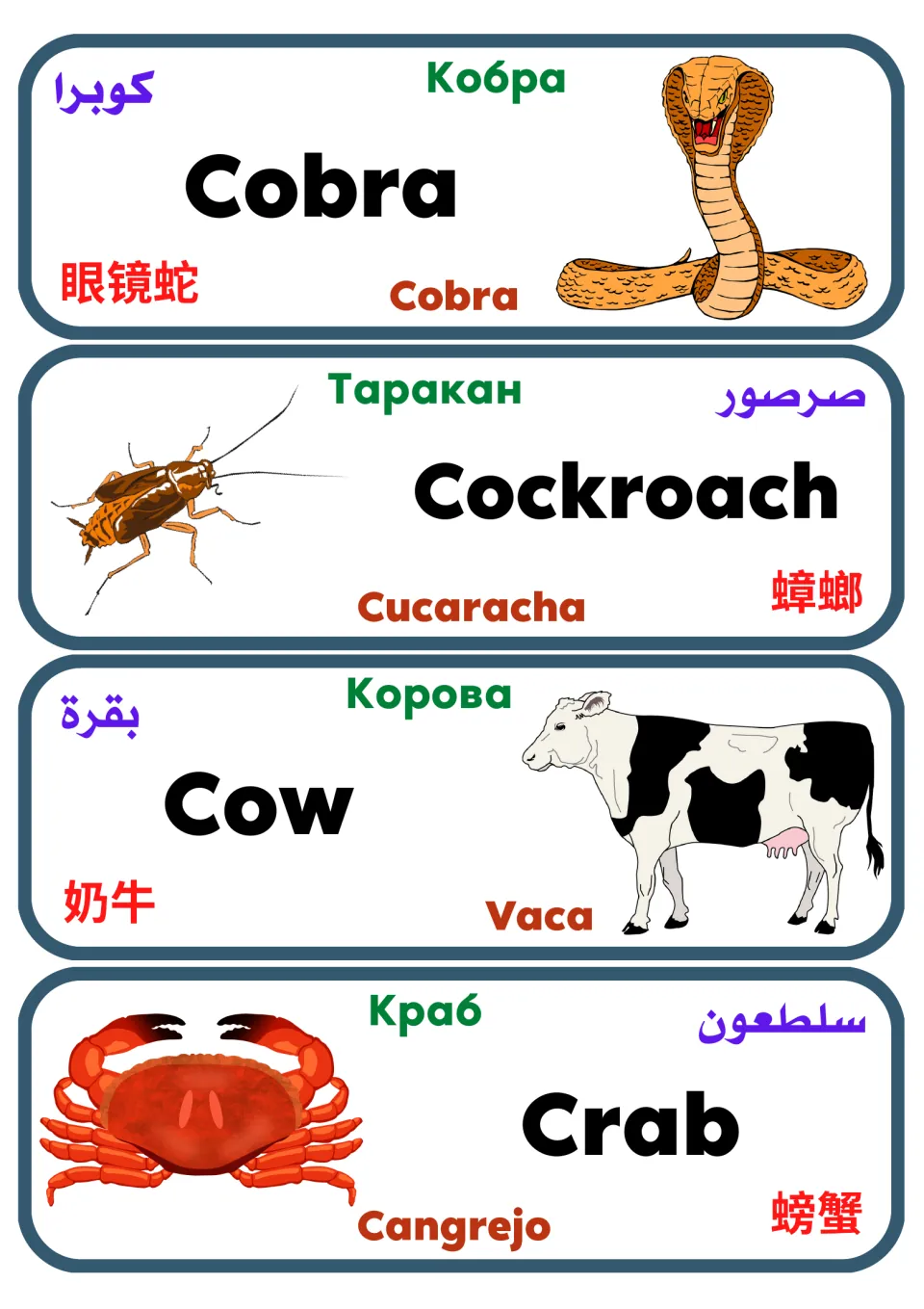 Multilingual animal flashcards 17–20: cobra, cockroach, cow, and crab, with pictures and five-language labels.