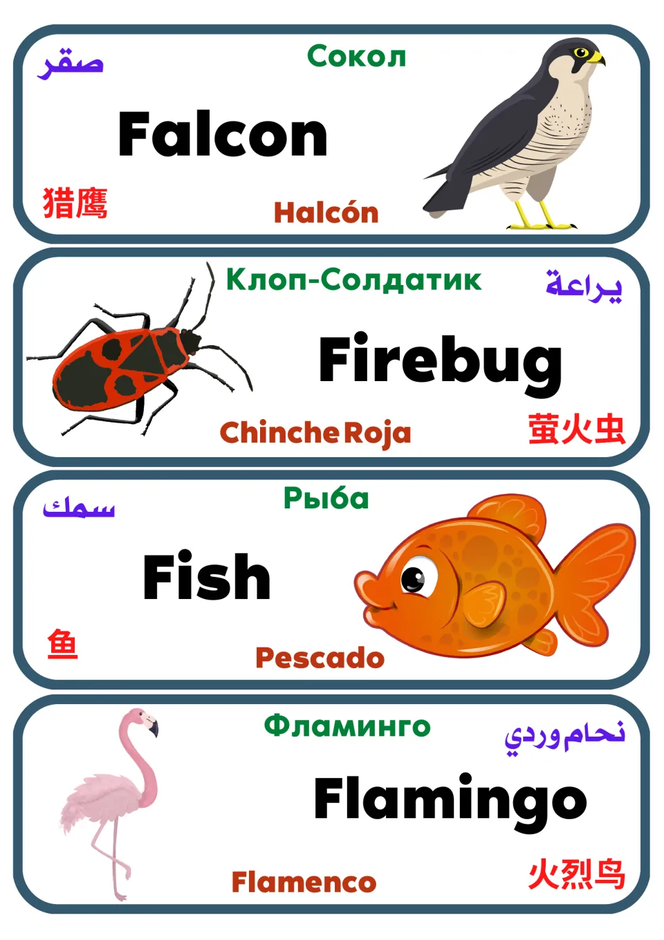 Multilingual animal flashcards 33–36: falcon, firebug, fish, and flamingo, with pictures and five-language labels.