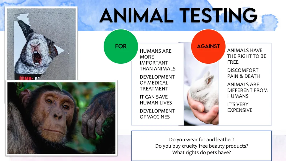 Animal testing: for and against arguments such as saving human lives and animal rights, with questions on fur and pets