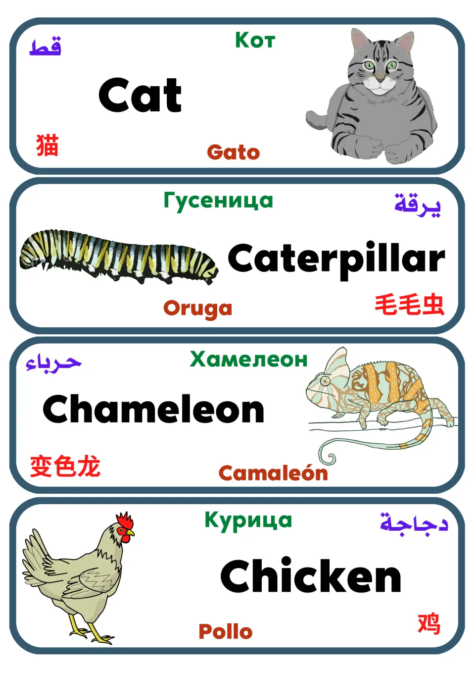 Multilingual animal flashcards 13–16: cat, caterpillar, chameleon and chicken, with pictures and translations