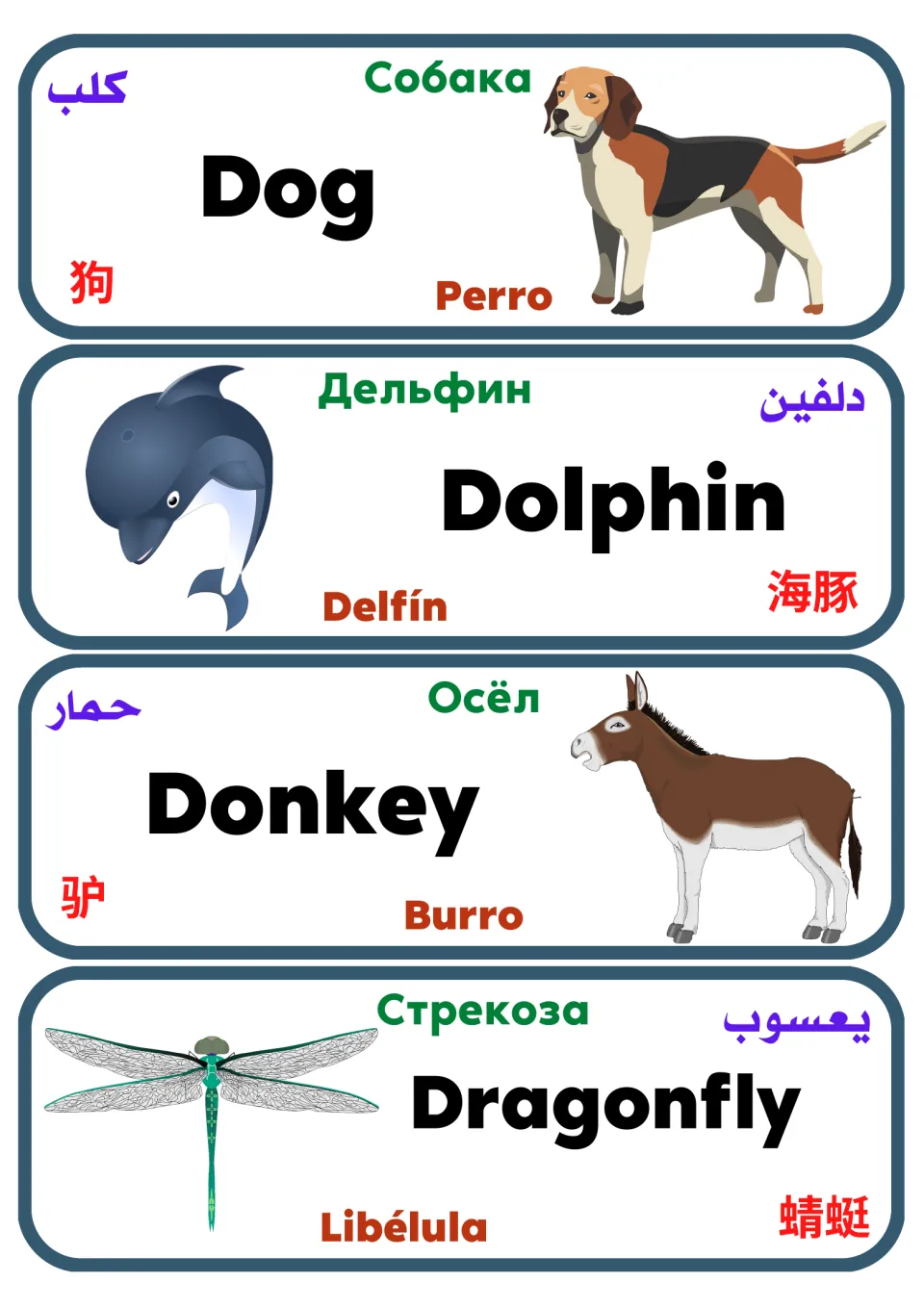 Multilingual animal flashcards 25–28: dog, dolphin, donkey and dragonfly, with pictures and translations