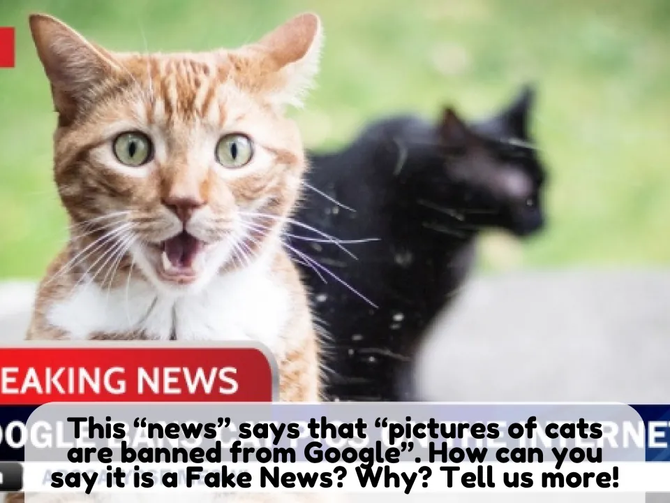 Spotting fake news: students explain why a breaking news claim that pictures of cats are banned from Google must be false