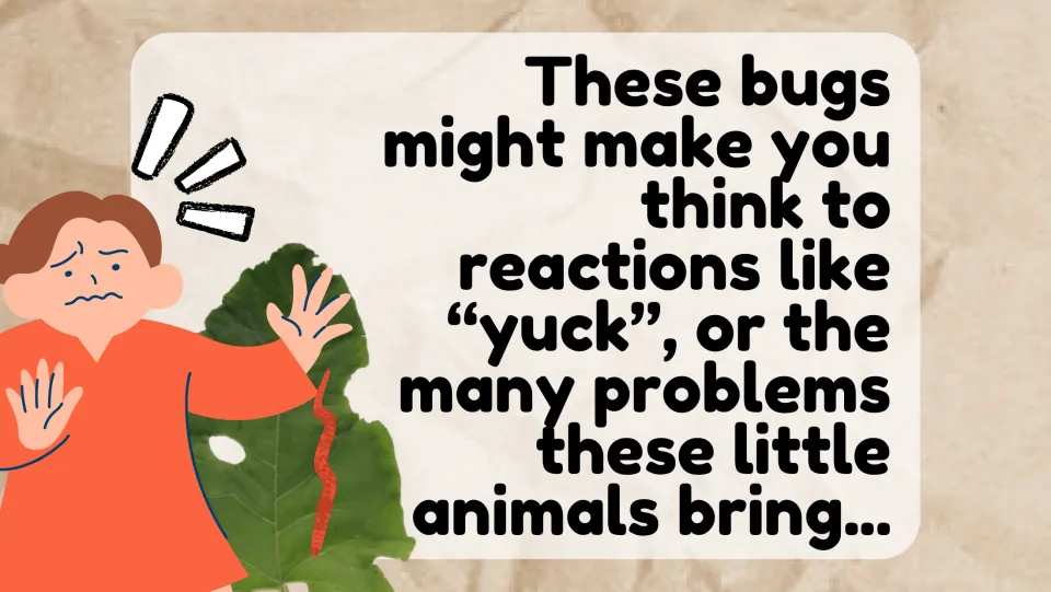 Reactions to bugs: slide says insects may bring 'yuck' or the problems they cause to mind, with a startled cartoon figure