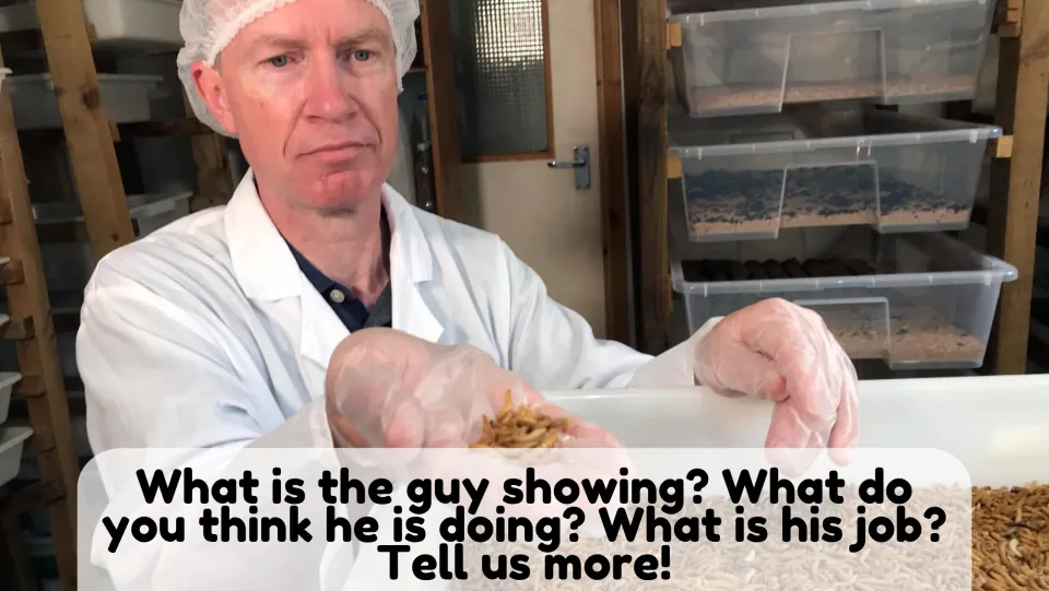 Picture description 2: students guess what a man in a lab coat holds and what his job is, beside bins of mealworms