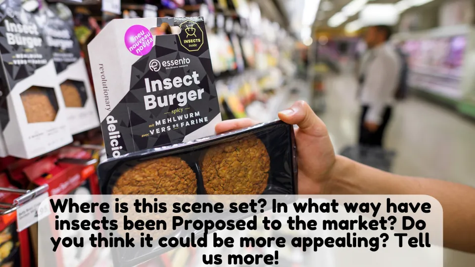 Picture description 3: an Insect Burger pack in a supermarket; students discuss how insects are marketed and made appealing