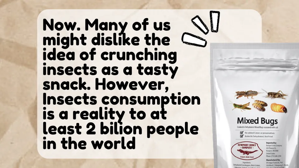 Insect eating worldwide: slide says eating insects is a reality for at least 2 billion people, beside a Mixed Bugs bag