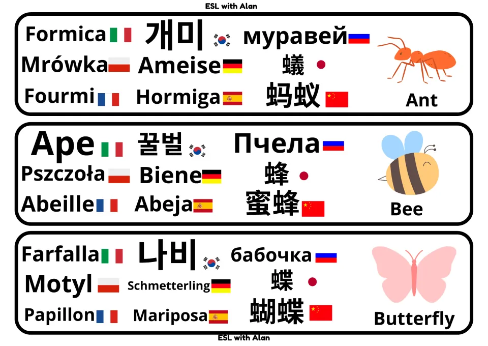 Insect vocabulary cards for ant, bee and butterfly, each word in 9 languages with flags beside a picture and English name