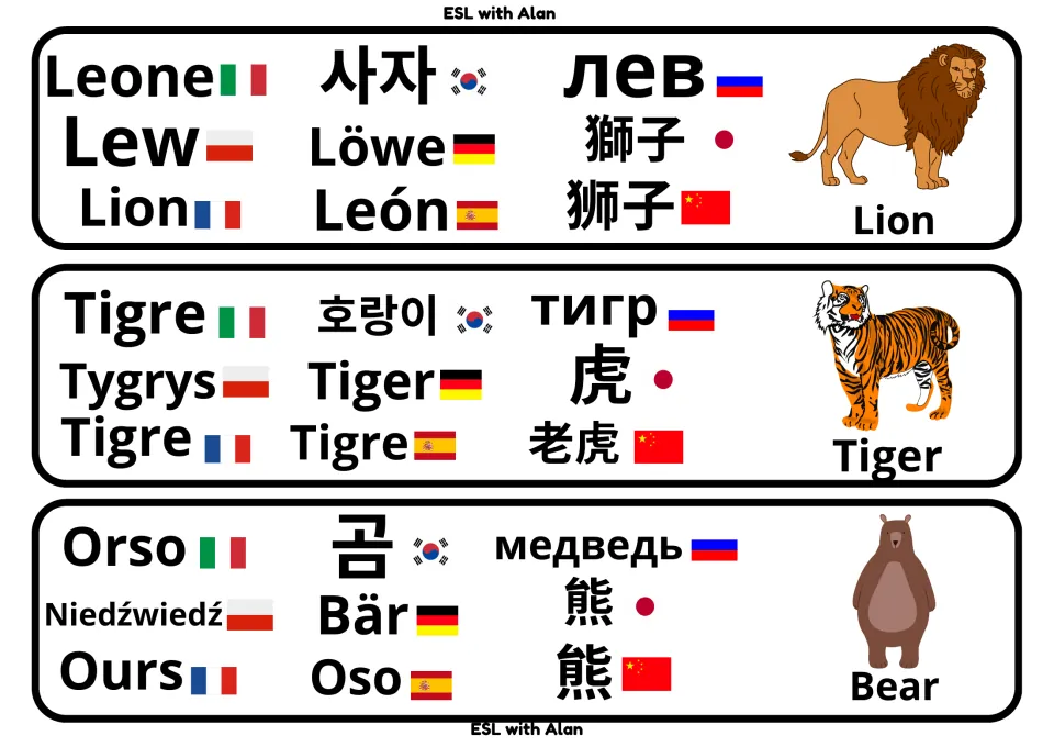 Wild animal word cards: lion, tiger and bear in Italian, Korean, Russian, Polish, German, French, Spanish and more