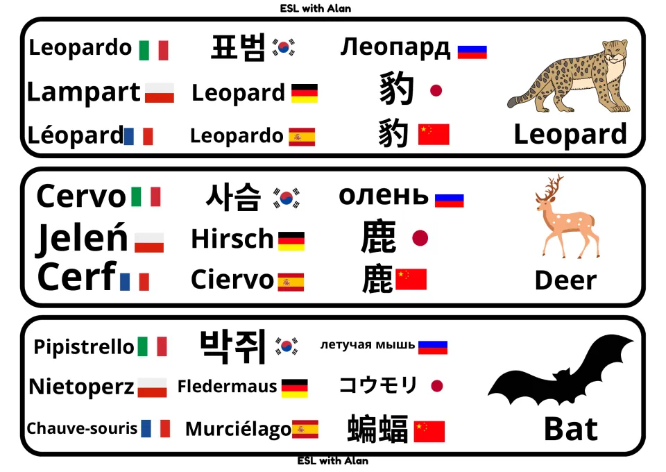 Leopard, deer and bat flash cards giving each animal's name in 9 languages, from Leopardo and Hirsch to Murciélago