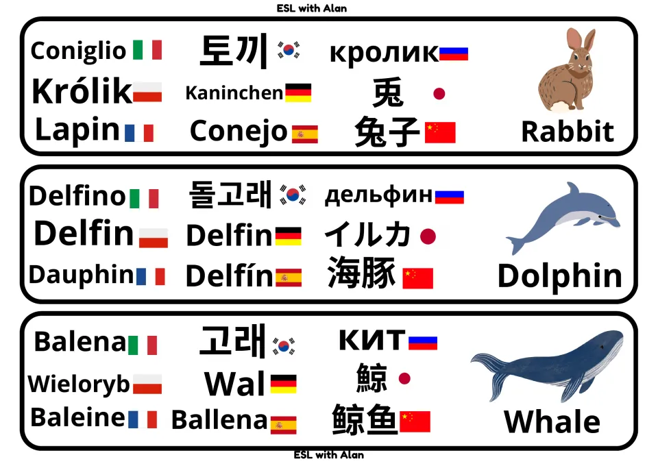 Rabbit, dolphin and whale cards: one land and two sea animals named in 9 languages, e.g. Conejo, Delfin, Balena and Wal
