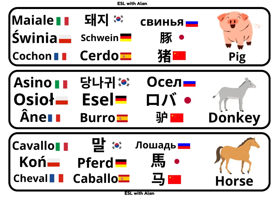 Farm animal cards for pig, donkey and horse, each picture paired with words like Schwein, Burro, Cheval and Pferd