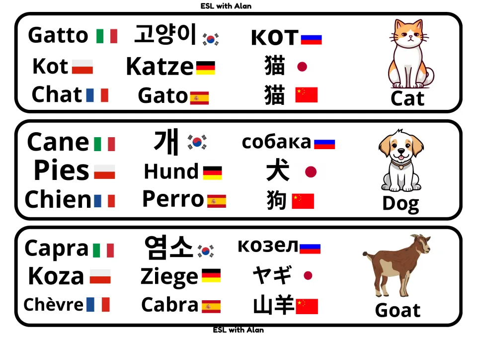 Pet and farm word cards for cat, dog and goat, naming each in 9 languages such as Gatto, Hund, Perro, Ziege and Chèvre