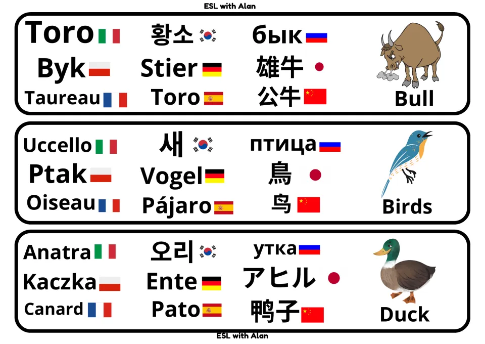 Bull, bird and duck vocabulary cards listing Toro, Stier, Vogel, Pájaro, Anatra, Canard and other translations by flag