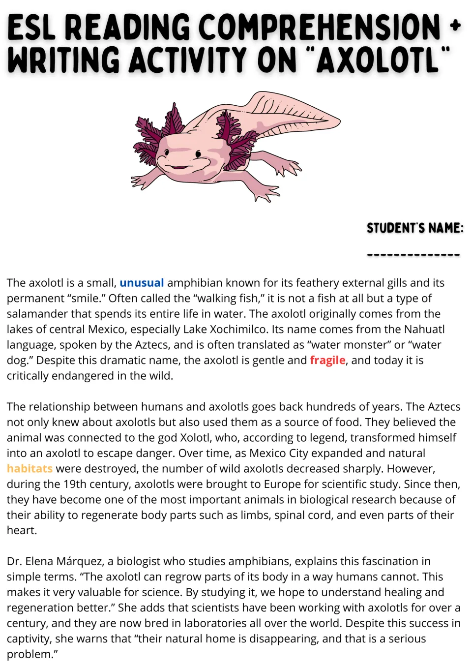 Axolotl reading passage, part 1: Mexican origins, Aztec history, endangered habitats, and regeneration.