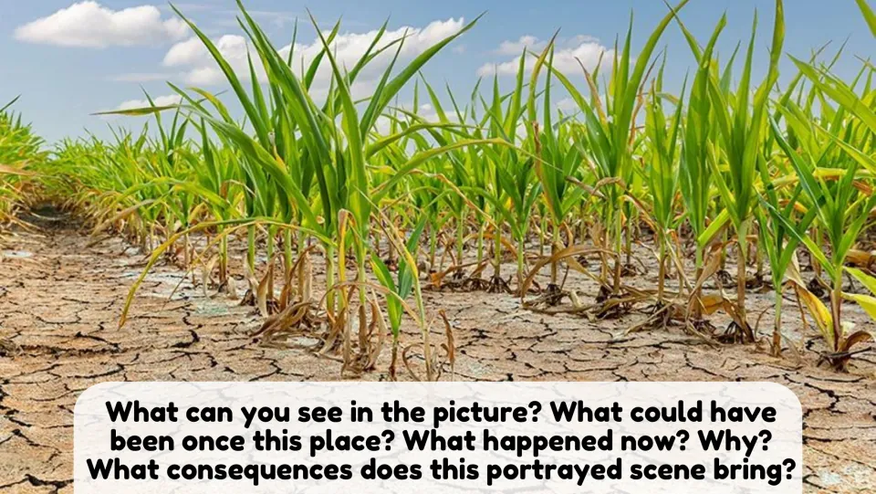 Picture description: students discuss a drought-cracked cornfield, what the place once was and what consequences follow
