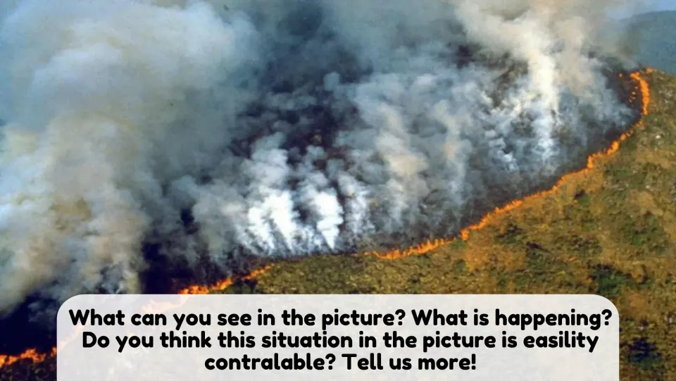 Picture description: students explain an aerial wildfire photo and say whether the fire could be easily controlled