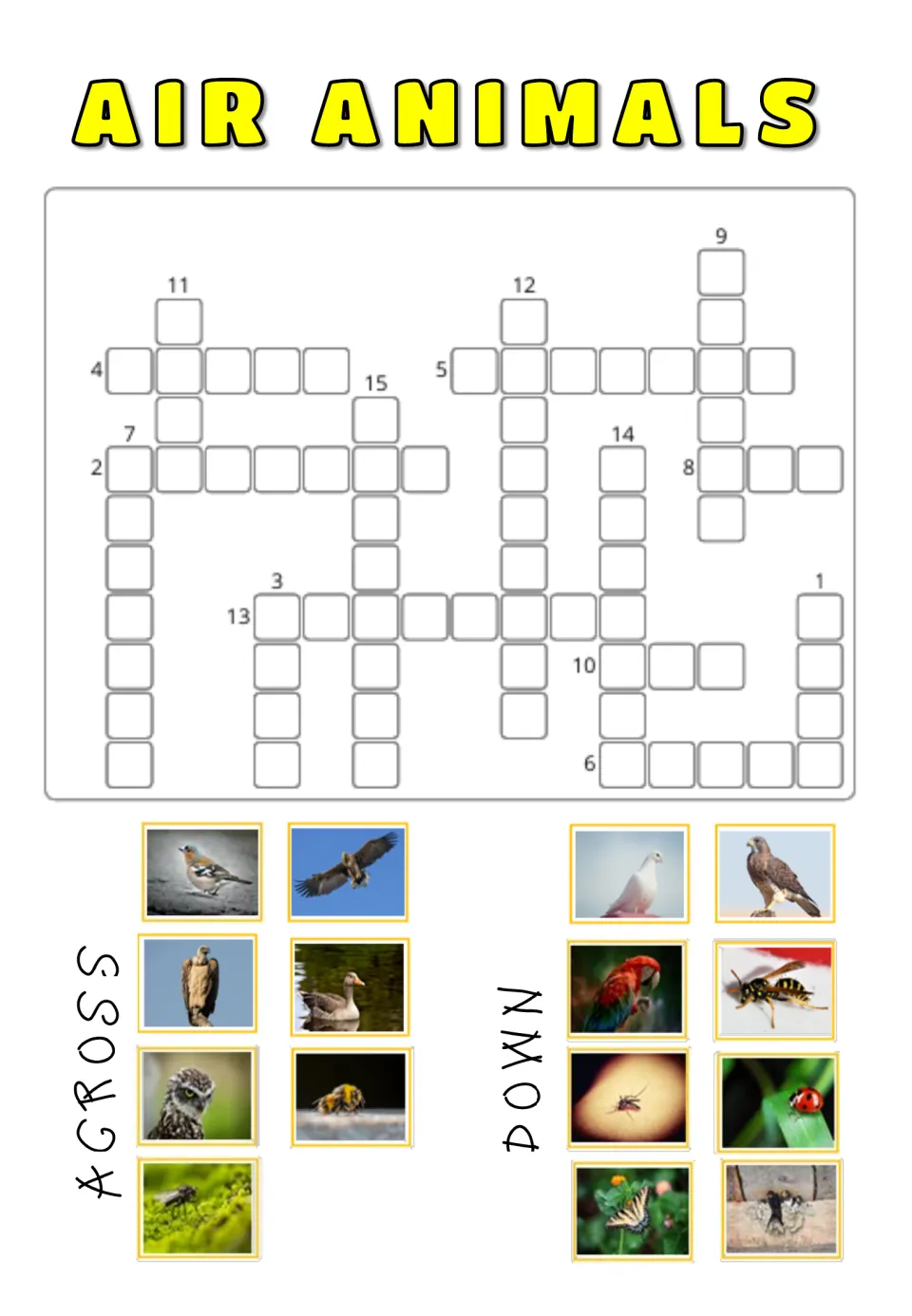 Air Animals picture crossword: students match unnumbered bird and insect photos, grouped as Across or Down, to the puzzle