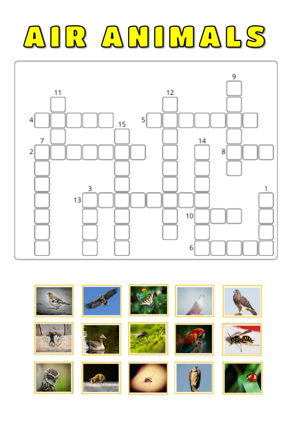 Air Animals picture crossword: students name 15 unlabeled bird and insect photos in mixed order and spell them in