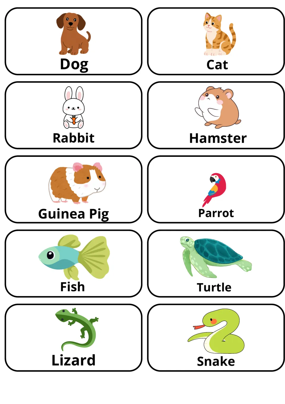 Pet animal flashcards: picture cards naming dog, cat, rabbit, hamster, guinea pig, parrot, fish, turtle, lizard, snake