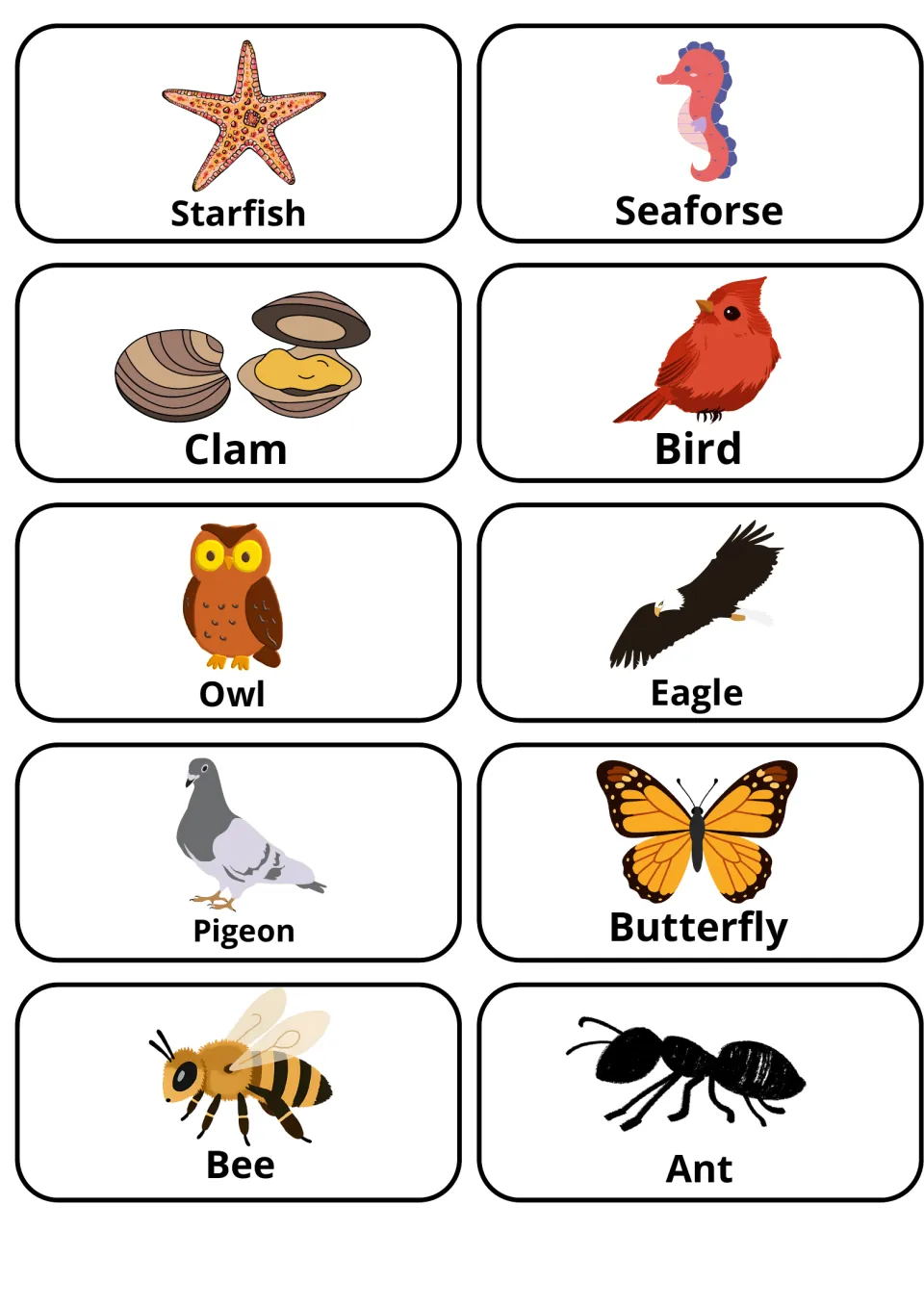 Picture flashcards for naming a starfish, seahorse, clam, bird, owl, eagle, pigeon, butterfly, bee and ant in English