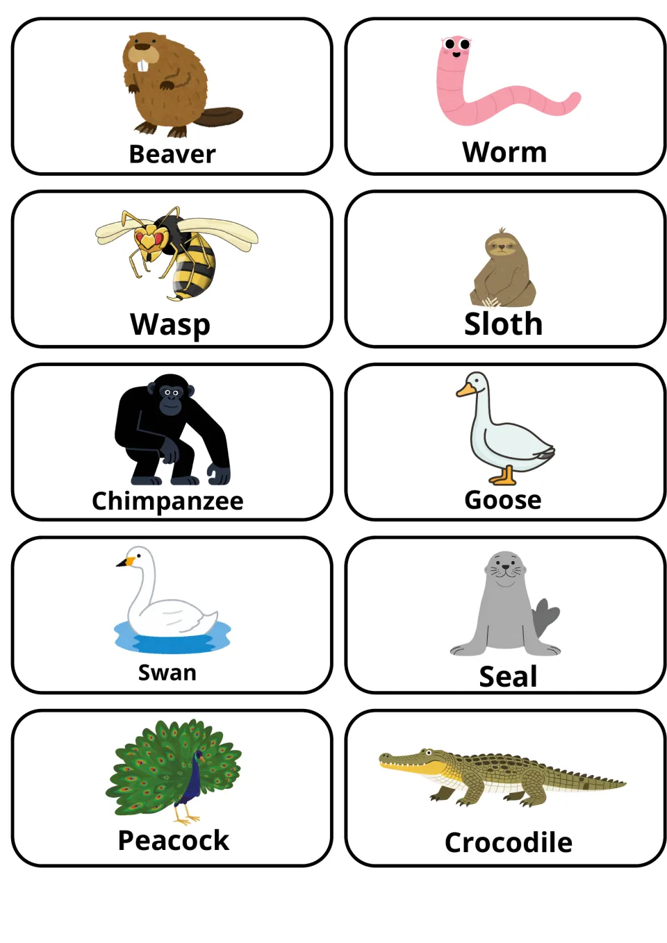 Animal word cards with pictures of a beaver, worm, wasp, sloth, chimpanzee, goose, swan, seal, peacock and crocodile