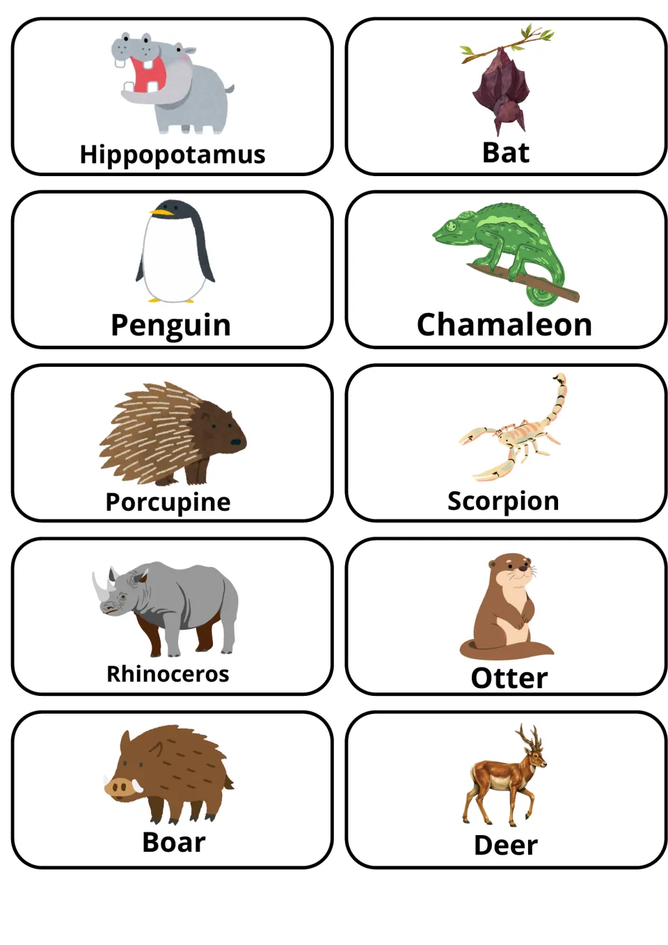 Animal picture cards labeled hippopotamus, bat, penguin, chameleon, porcupine, scorpion, rhinoceros, otter, boar and deer