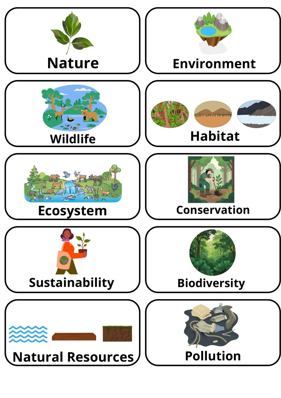 Environment word cards: students match pictures to nature, wildlife, habitat, ecosystem, conservation, pollution and more