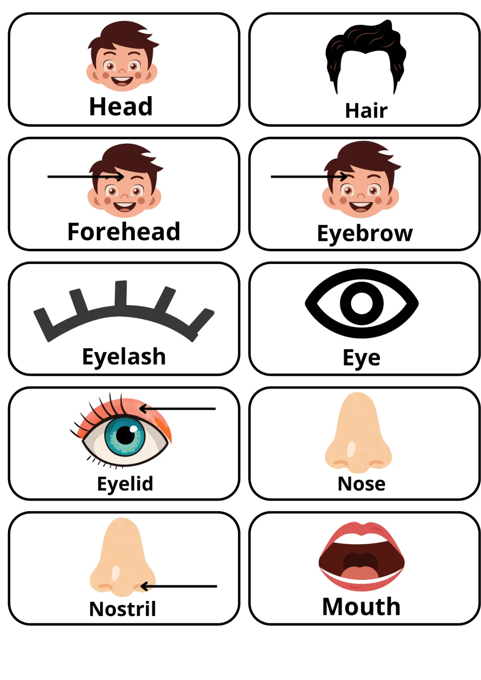 Face words picture cards: head, hair, forehead, eyebrow, eyelash, eye, eyelid, nose, nostril and mouth, arrows on parts