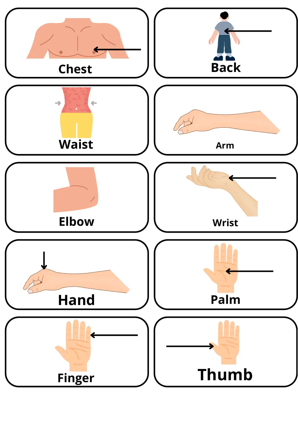 Upper body and hand picture cards: chest, back, waist, arm, elbow, wrist, hand, palm, finger and thumb, arrows marking each