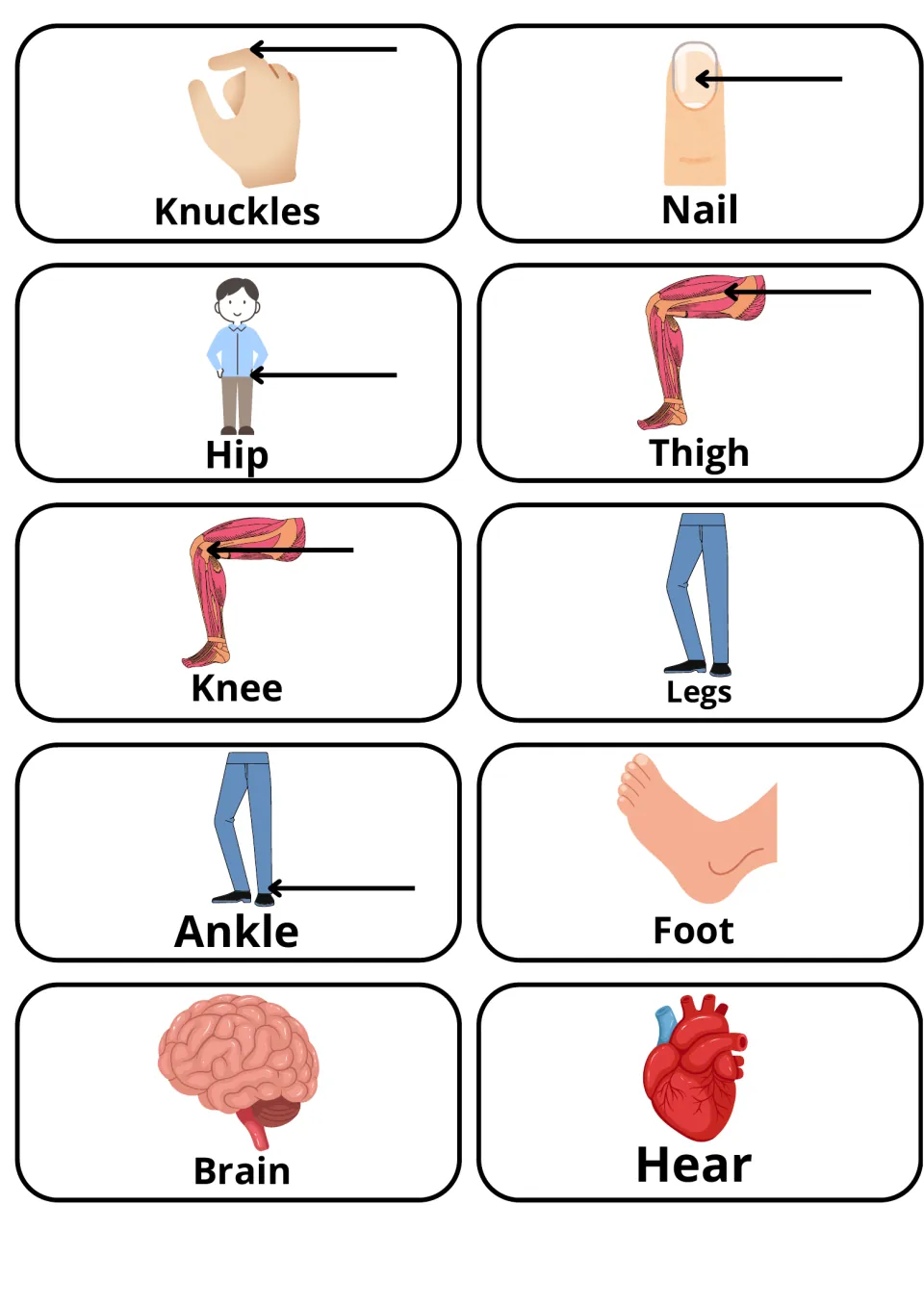 Hand, leg and organ picture cards: knuckles, nail, hip, thigh, knee, legs, ankle, foot, brain and a heart image labelled Hear