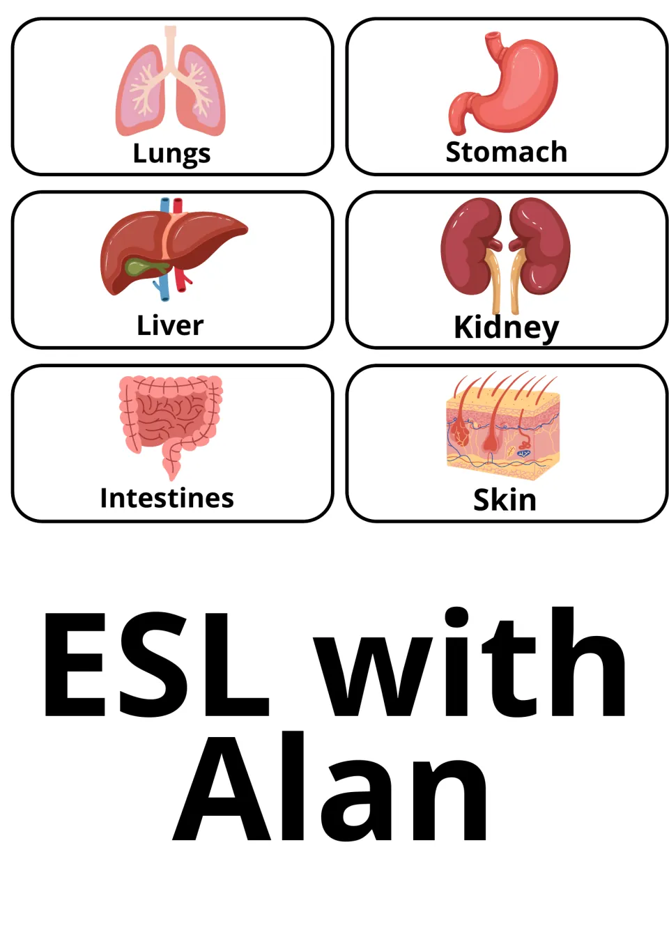 Body organ picture cards: lungs, stomach, liver, kidney, intestines and skin, followed by large ESL with Alan text