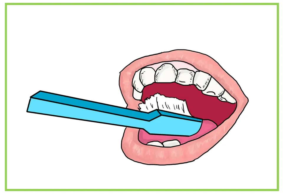 Dental vocabulary flashcard showing a toothbrush brushing teeth inside an open mouth, without a label