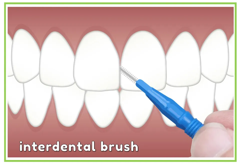 Dental vocabulary flashcard labeled 'interdental brush', showing a small blue brush held between teeth