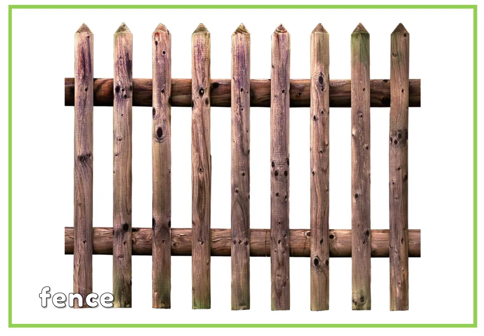 Labeled garden vocabulary flashcard showing a wooden fence with pointed upright posts and the word 'fence'