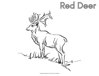 European Animals Coloring Pages – sample page 2