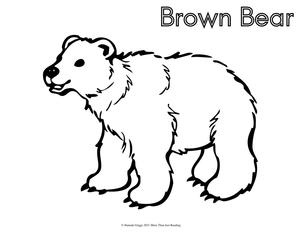 Brown Bear: students color a line drawing of a furry bear walking on all fours, with its name in outline letters
