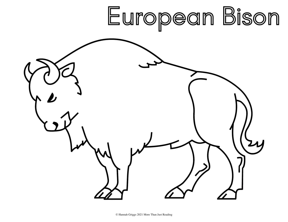 European Bison: students color a large shaggy bison with curved horns and a tufted tail, head lowered
