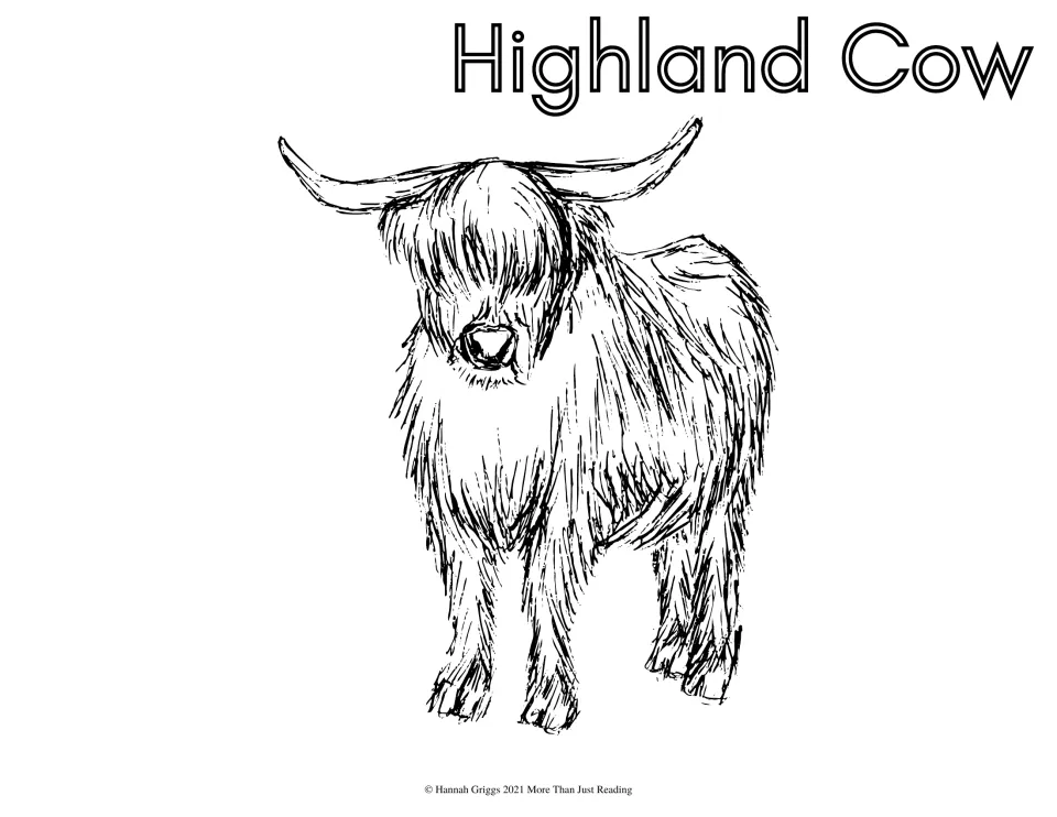 Highland Cow: students color a sketched long-haired cow with wide horns and a shaggy fringe over its eyes