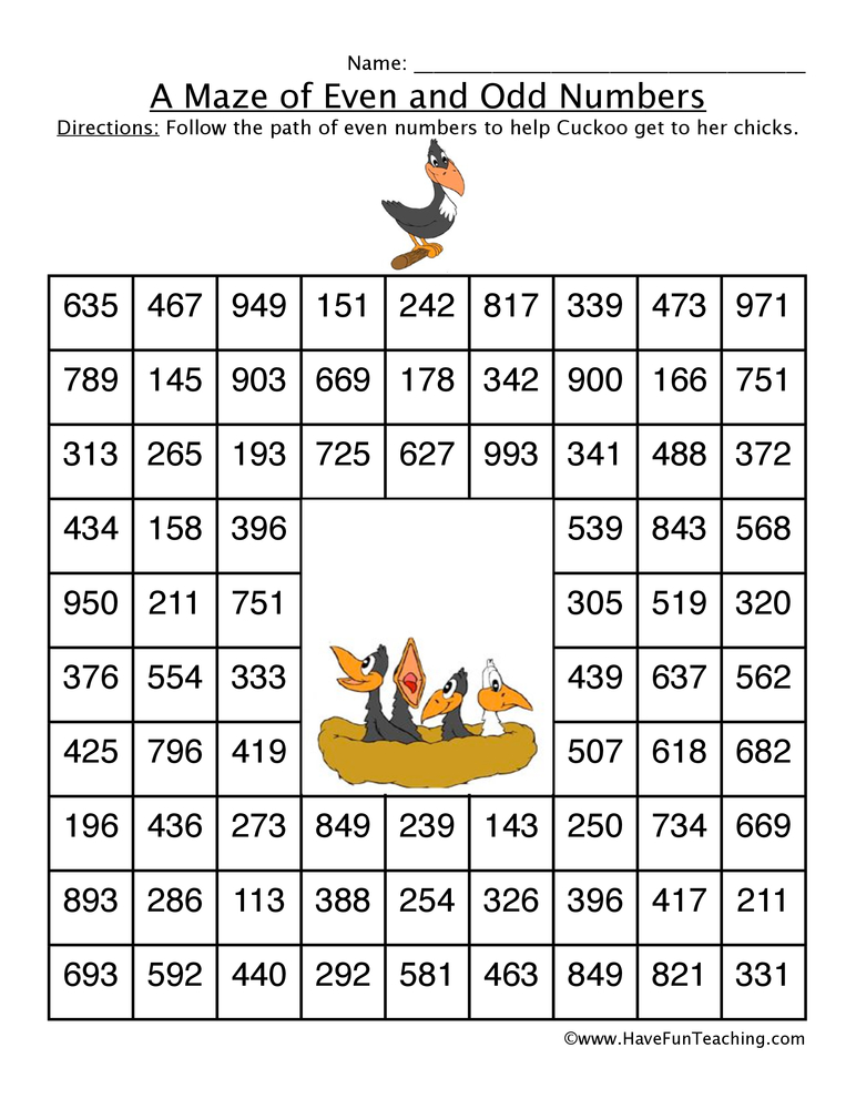 Even Number Maze Worksheet - Birds teaching resource preview