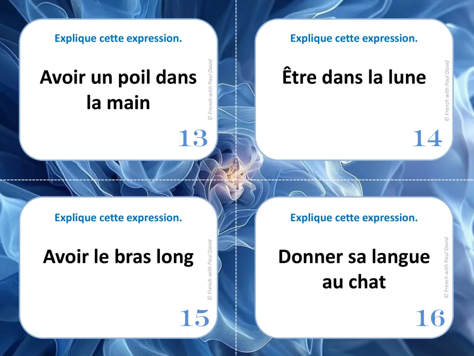 French idiom task cards 13–16 include donner sa langue au chat (give up guessing) and three more expressions.