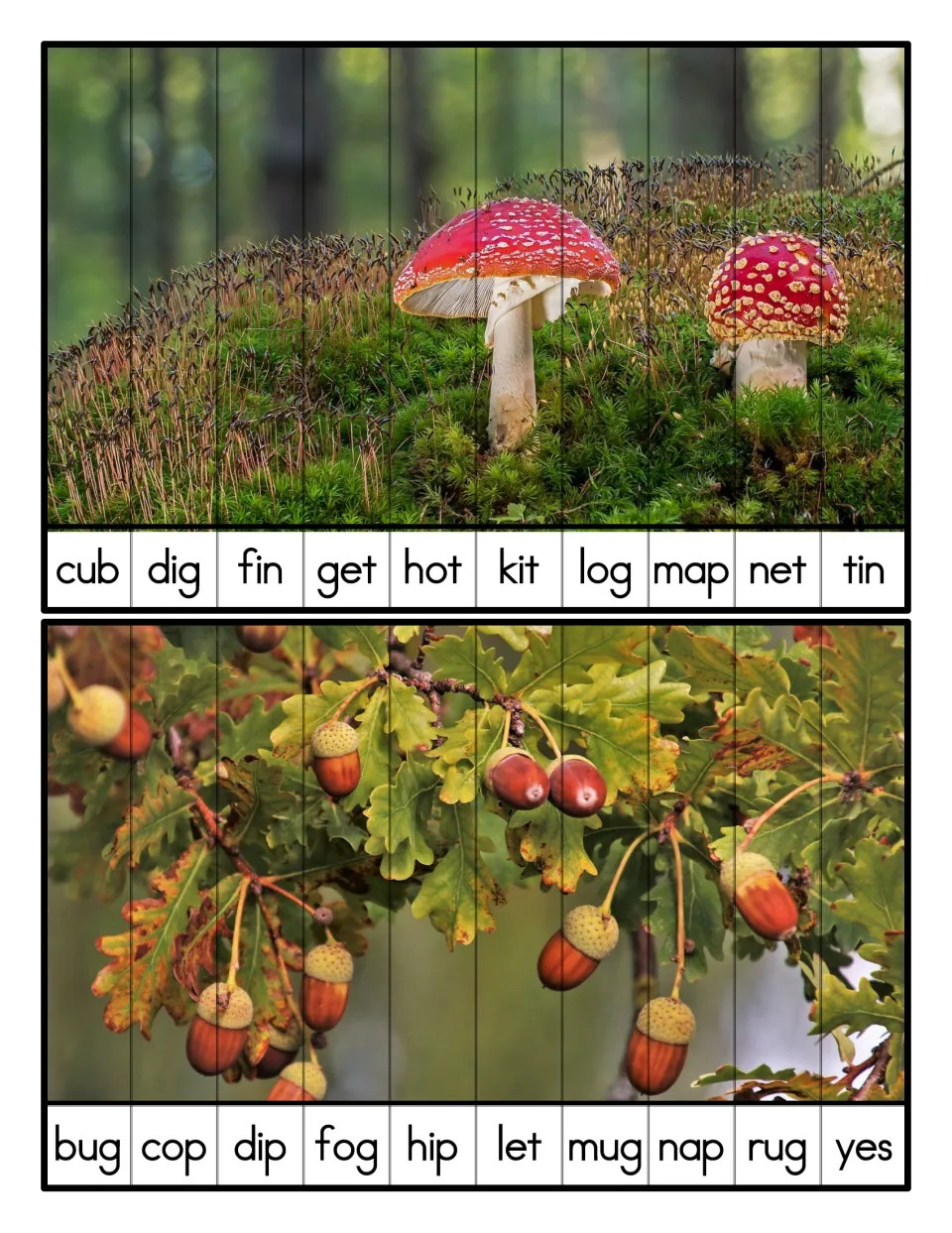 Mixed-vowel CVC alphabetical order: two toadstools on moss (cub to tin) and oak acorns (bug to yes) cut into 10 strips each