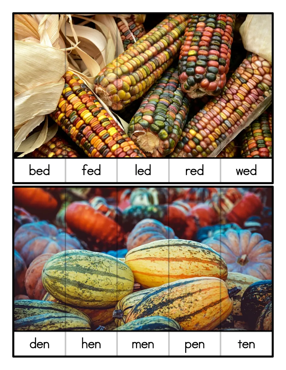 Word family alphabetizing with -ed and -en: dried corn strips run bed to wed and squash strips run den, hen, men, pen, ten